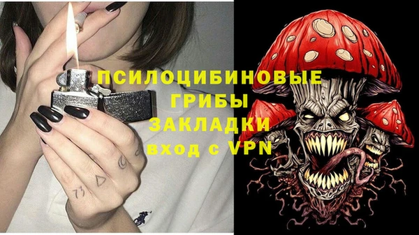 амф Алексин