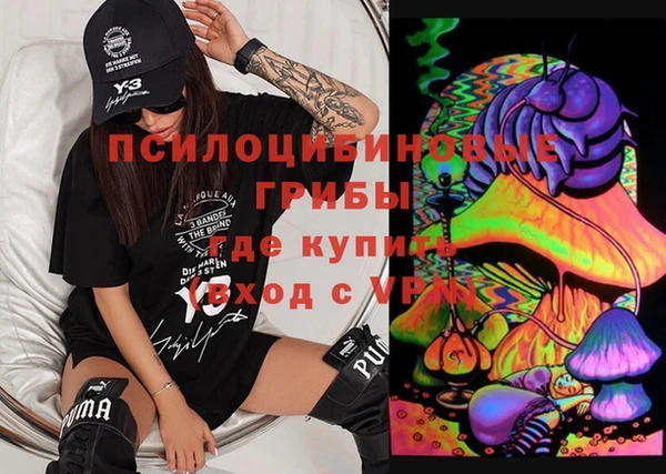 амф Алексин