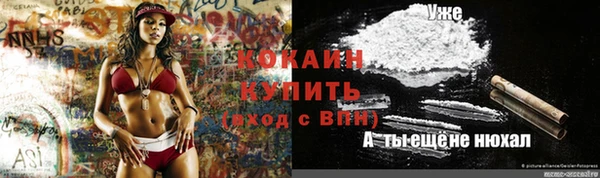 амф Алексин