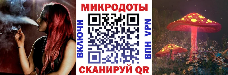 дарнет шоп Нижние Серги Псилоцибиновые грибы GOLDEN TEACHER
